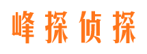 阳新外遇调查取证